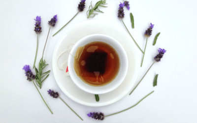 Get a Boost of Energy this Holiday Season With Our Herbal Teas